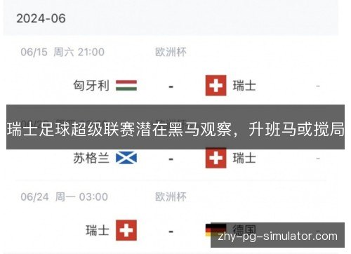 瑞士足球超级联赛潜在黑马观察,升班马或搅局 瑞士足球超级联赛潜在黑马观察,升班马或搅局